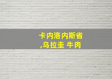 卡内洛内斯省,乌拉圭 牛肉